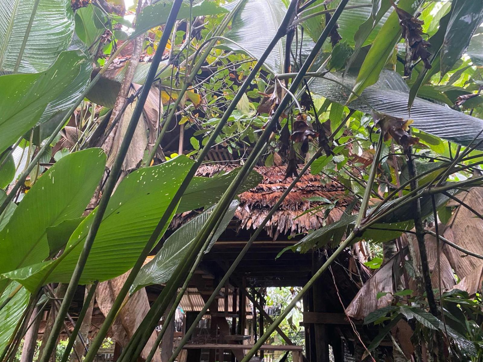 Xingu Camping Site Leticia Eksteriør bilde