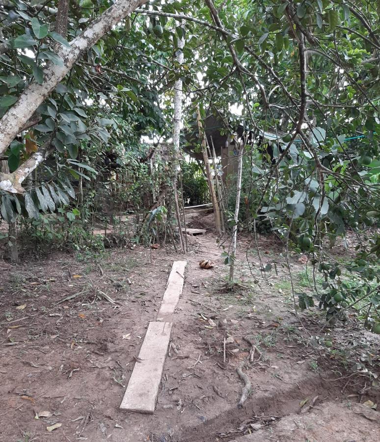 Xingu Camping Site Leticia Eksteriør bilde