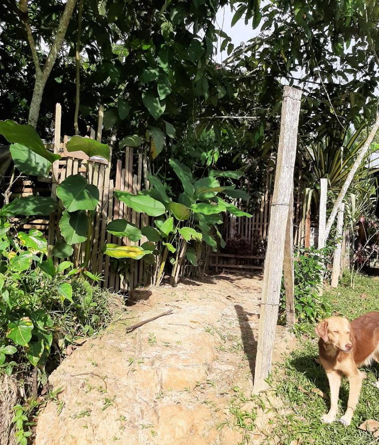 Xingu Camping Site Leticia Eksteriør bilde